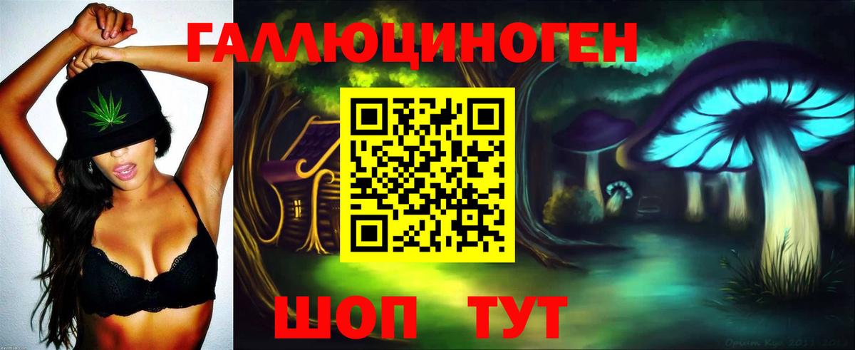 Псилоцибиновые грибы Cubensis Мыски