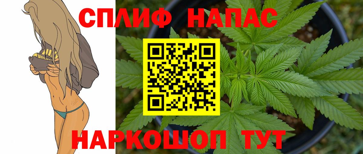 Шишки марихуана MAZAR Мыски